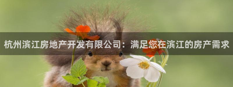 万向娱乐老板