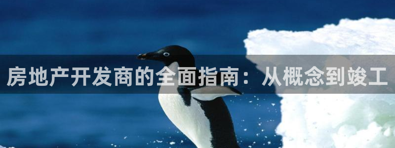 万向娱乐公司 585.34I 娱乐