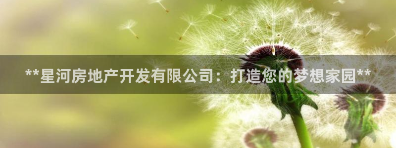 万向娱乐app下载官网