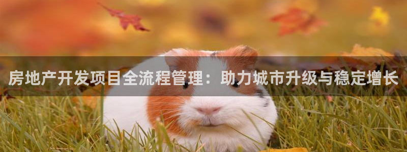 万向娱乐的联系方式是什么