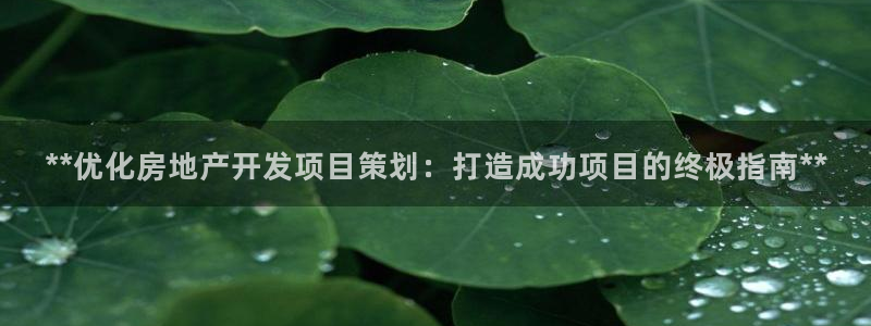 万向娱乐app下载官网