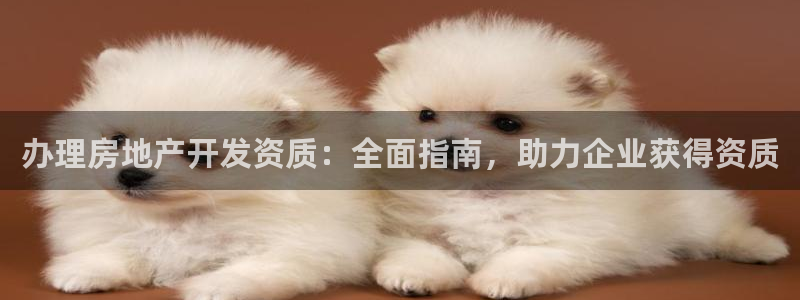 万向娱乐平台代理怎么样