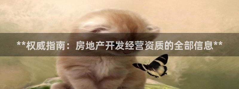 万向娱乐登陆