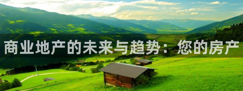 万向娱乐是野鸡台吗