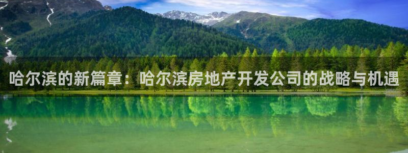 万向娱乐平台代理怎么做的