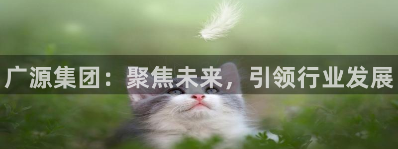 万向娱乐平台招商骗局