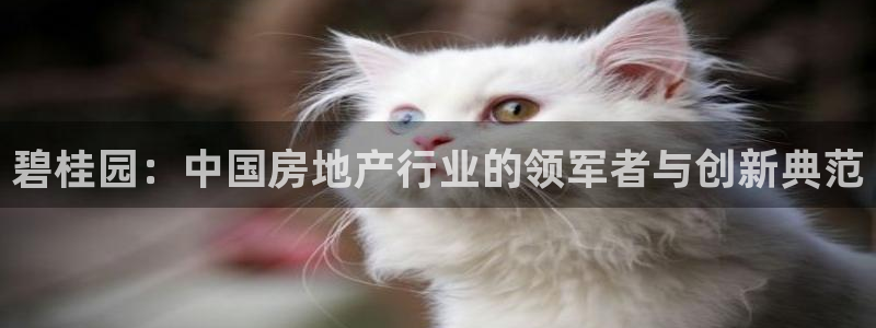 万向娱乐官网下载安卓