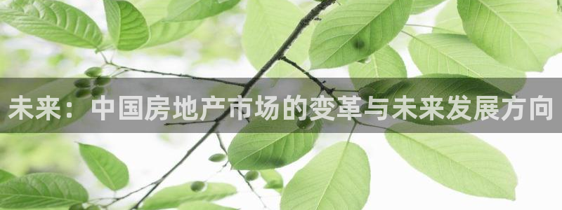 万向娱乐技术