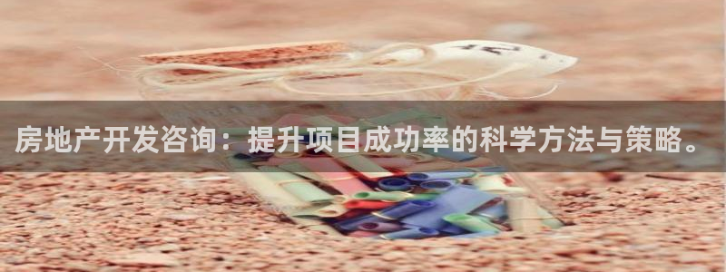 万向娱乐老板