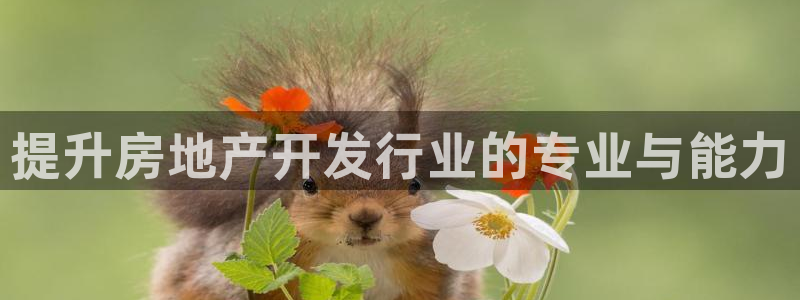 万向娱乐app下载安装