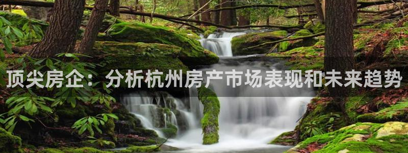 万向娱乐平台代理