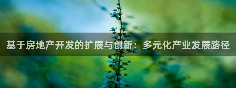 万向娱乐公司 585.34I 娱乐