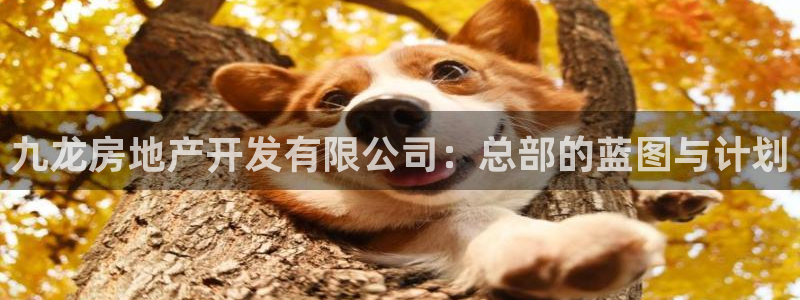 万向娱乐的联系方式有哪些