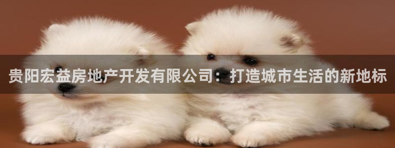 万向娱乐网址是什么