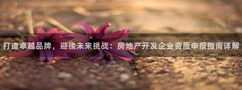 万向娱乐下载