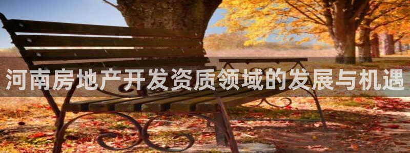 万向娱乐是野鸡台吗