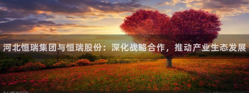 万向娱乐平台代理怎么做