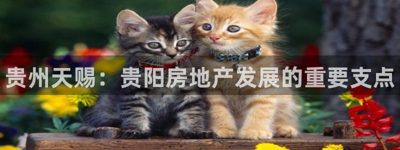 万能娱乐代理网址