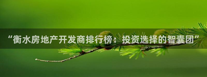 万向娱乐