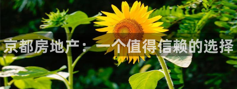 万向娱乐平台提现多久到账