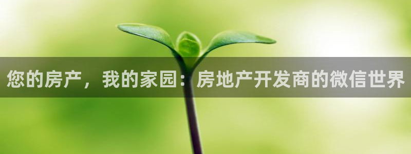 万向娱乐的联系方式有哪些