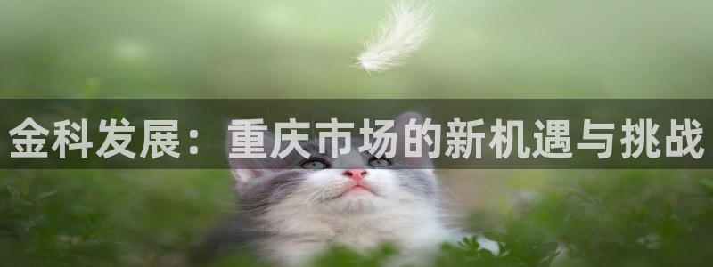 万向娱乐平台代理多少钱一个